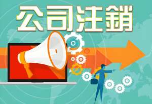 宣城公司注銷指南：不同類型企業(yè)的注銷路徑解析